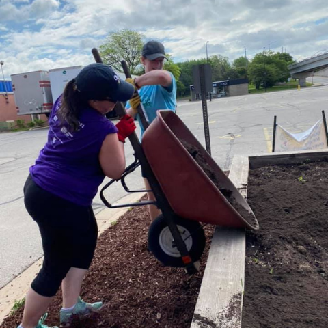 CYP Serves plants gardens