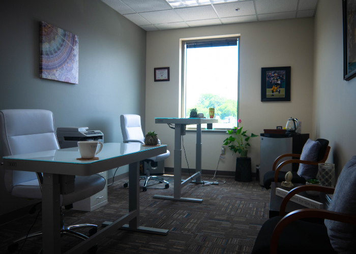 Professional Office Suite Startup Hub