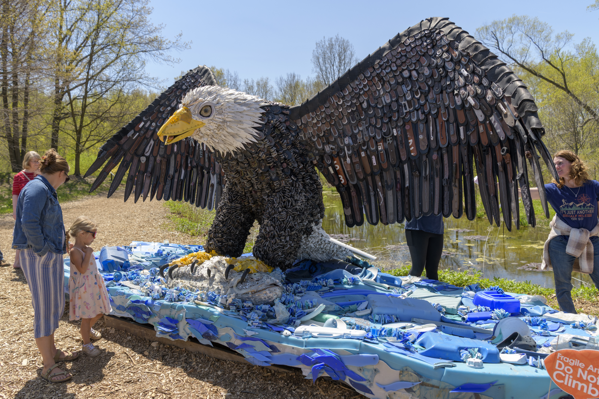 Rosa-the-Bald-Eagle-Washed-