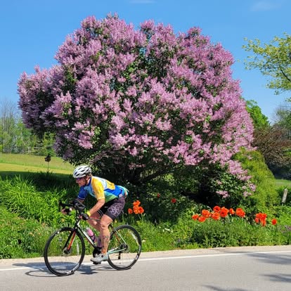 BayCare Clinic Century Registration Now Open