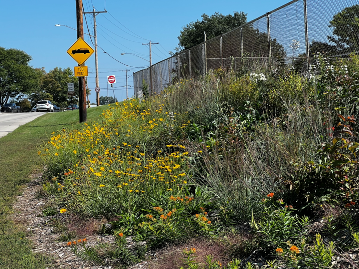 Pollinator Pocket Kits Open for Public Registration on Earth Day