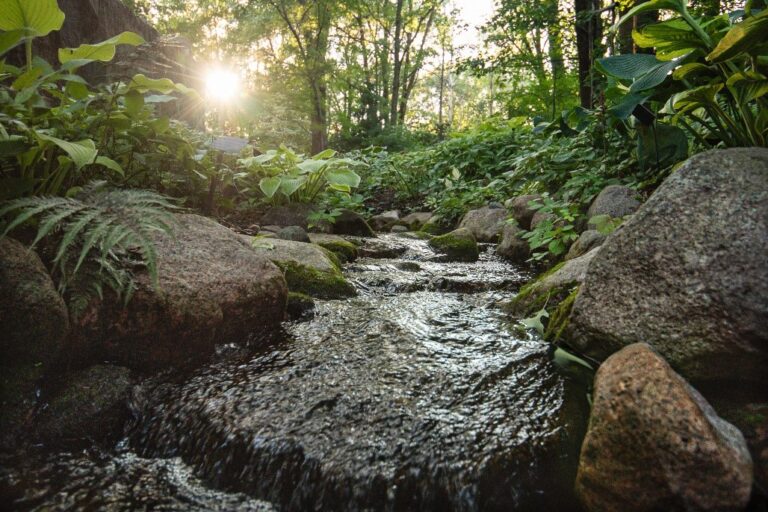 Green Bay Botanical Garden Classes & Event Schedule May-August 2026
