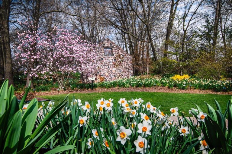 Peak Spring Bloom Arrives Just in Time for Mother's Day at Green Bay Botanical Garden